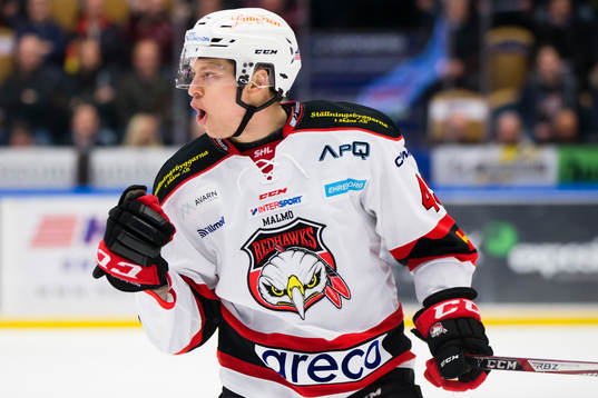 Malmö Redhawks Rhett Rakhshani jublar