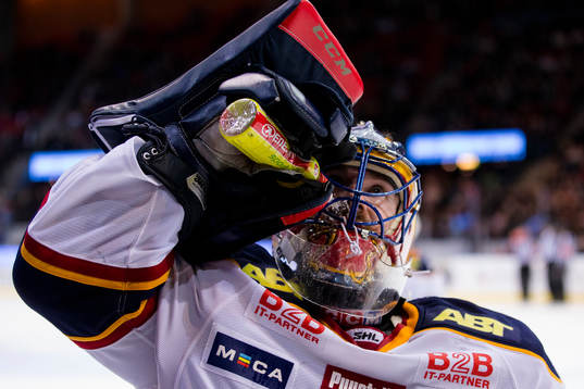 Djurgårdens målvakt Mikael Tellqvist