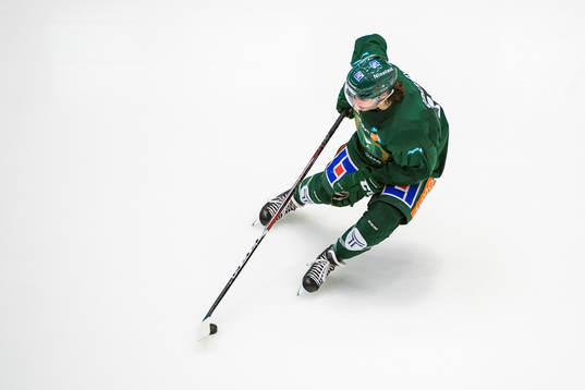 Bläddra bland fler bilder av Ishockey, SHL, Färjestad - Rögle