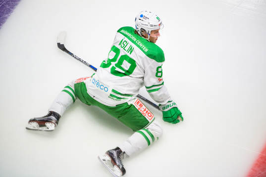 Rögles David Åslin