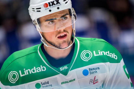 Rögles Alen Bibic