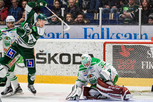 Rögles Almen Bibic, Färjestads Johan Ryno och Rögles