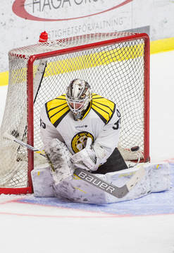 Brynäs målvakt David Rautio