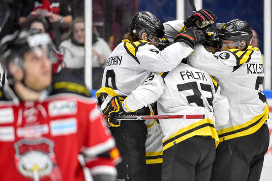 Brynäs jublar