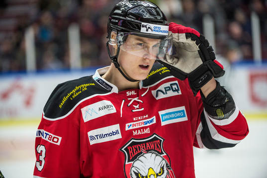 Malmö Redhawks Fredrik Händemark deppar