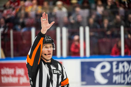 Domare Tobias Björk