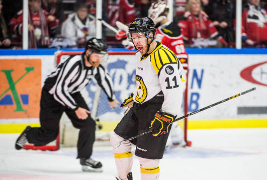 under ishockeymatchen i SHL mellan Malmö Redhawks och