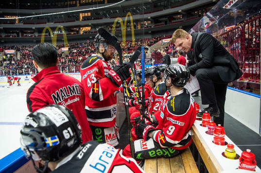 Malmö Redhawks assisterande tränare Jesper Mattsson bland