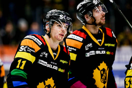 Skellefteås Henrik Hetta