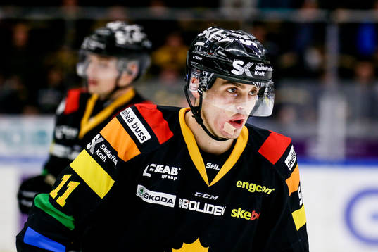 Skellefteås Henrik Hetta