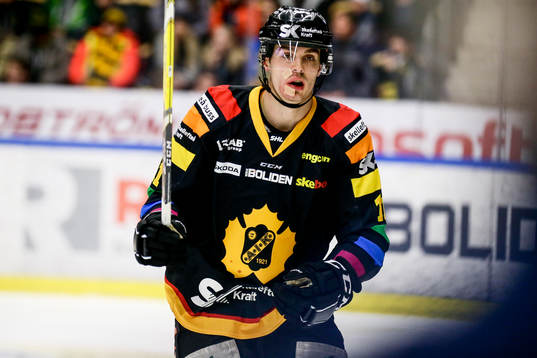 Skellefteås Henrik Hetta