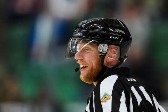 Domare Mikael Holm