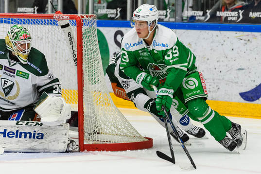 Rögles David Åslin