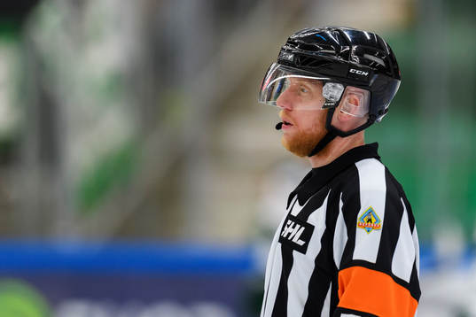 Domare Mikael Holm