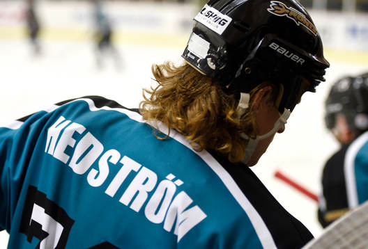 Dronts Jonathan Hedström