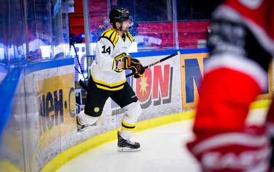 Brynäs Johan Alcén