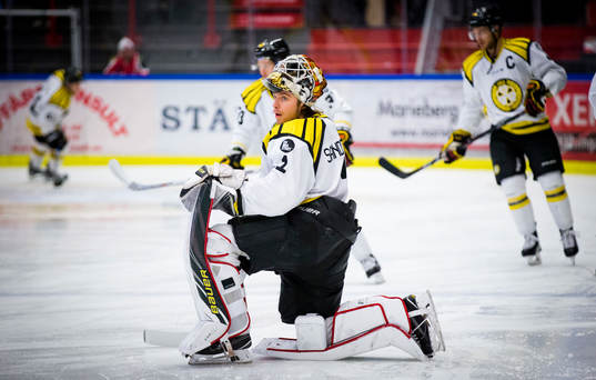 Brynäs målvakt Felix Sandström