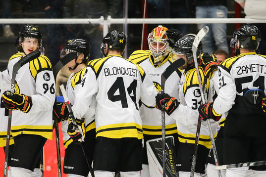Brynäs spelare jublar med målvakt Felix Sandström