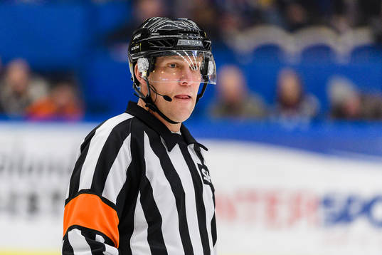 Domare Morgan Johansson