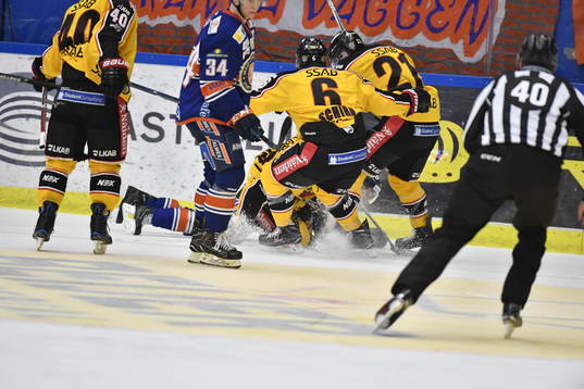 Luleås spelare jublar