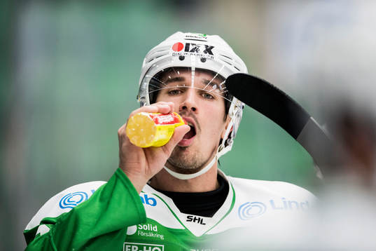 Rögles Daniel Sylwander
