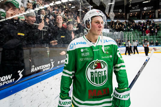 Rögles David Åslin