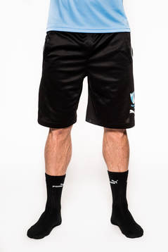 Malmö FFs Markus Rosenberg