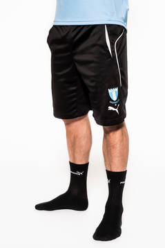 Malmö FFs Markus Rosenberg