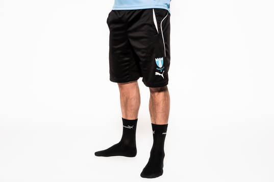 Malmö FFs Markus Rosenberg