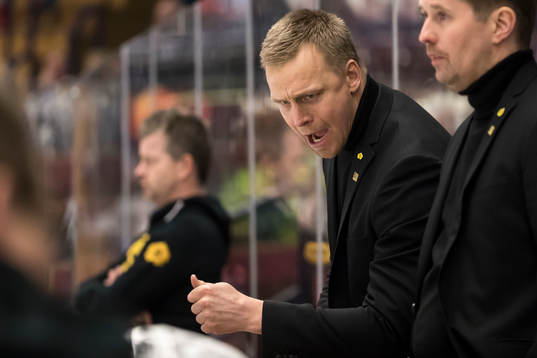 Skellefteås tränare assisterande tränare Bert Robertsson