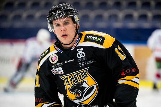 Panterns Ludwig Karlsson