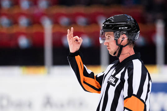 Domare Patric Bjälkander