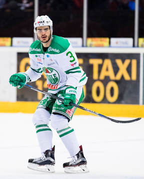Rögles Almen Bibic