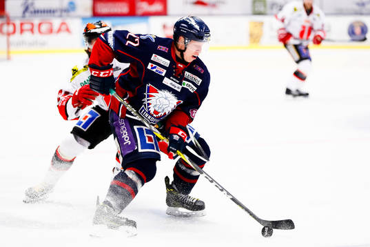 Linköpings Vilmos Gallo