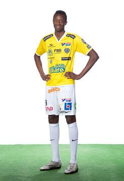 Falkenbergs Passi Prudence