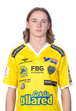 Falkenbergs Ludvig Johansson