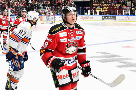 Malmö Redhawks Rhett Rakhshani jublar