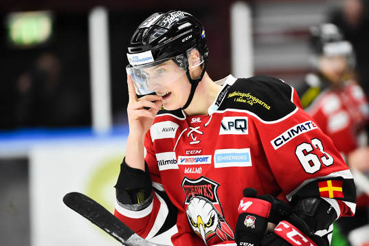Malmö Redhawks Fredrik Händemark jublar