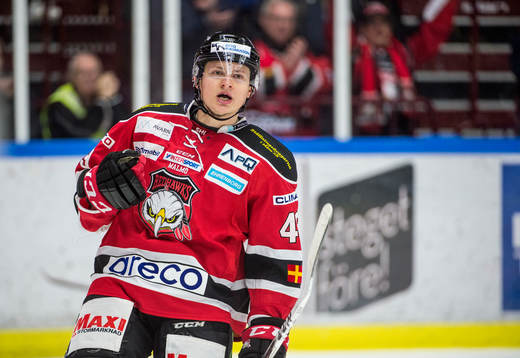 Malmö Redhawks Rhett Rakhshani jublar