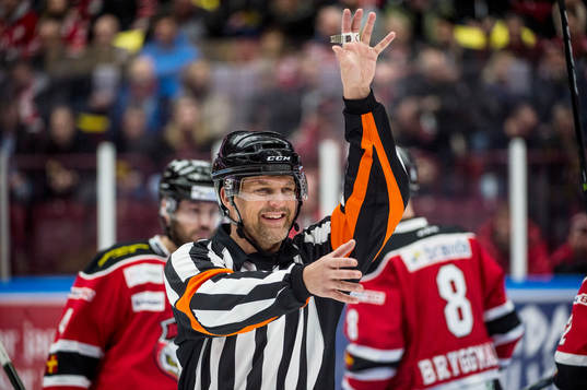 Domaren Mikael Nord