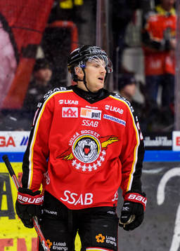Luleås Bill Sweatt deppar