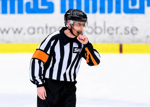 Domare Mikael Holm