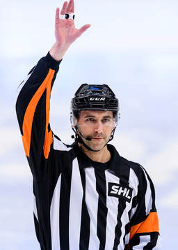 Domare Linus Öhlund