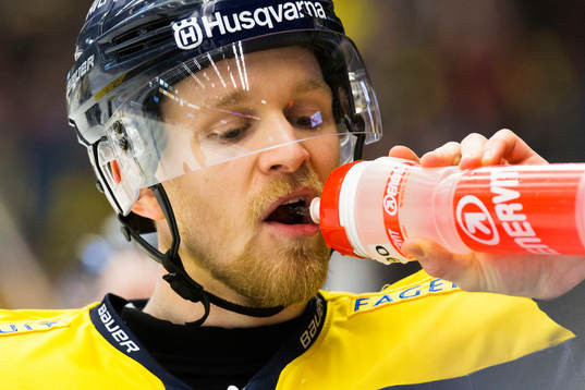 s Ted Brithén