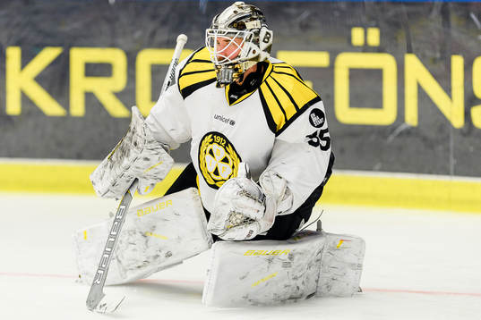 Brynäs målvakt David Rautio