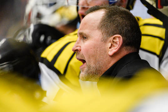 Brynäs tränare Thomas Berglund skriker