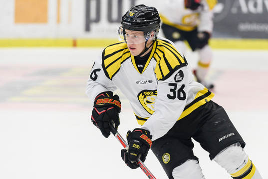 Brynäs Linus Ölund