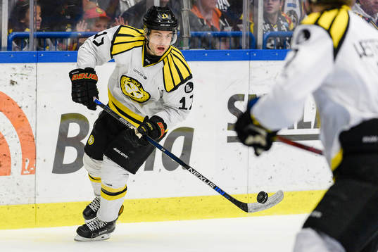Brynäs Pathrik Westerholm