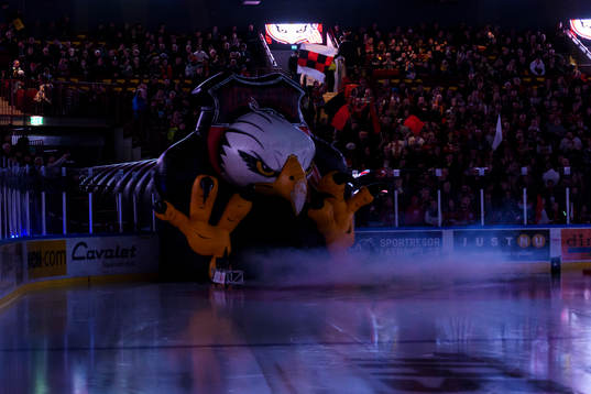 Malmö Redhawks intro