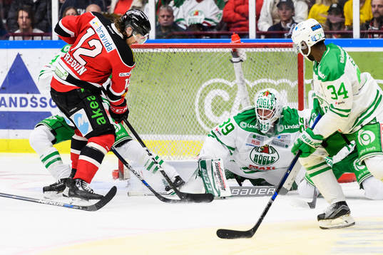 Malmö Redhawks Andreas Thuresson oroar framför Rögles